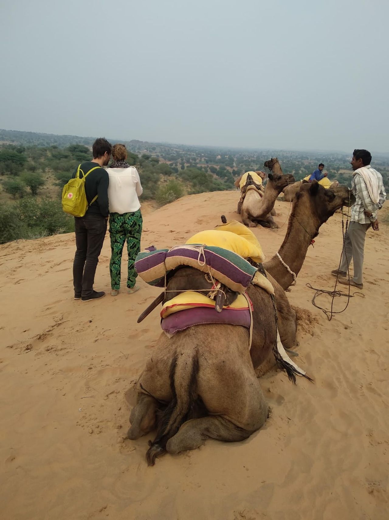 Camel safari activity in the Osian desert near Jodhpur